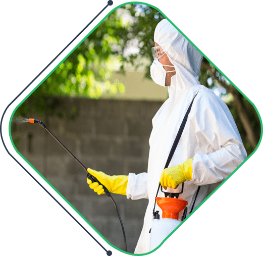 Pest Control Adelaide Better Pest Control Call 1300 838 722